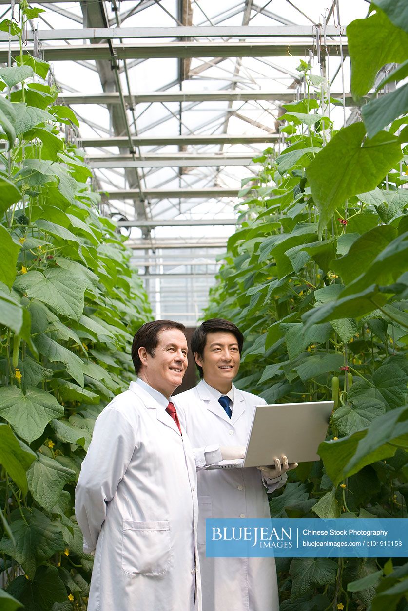 Scientists doing research in modern farm