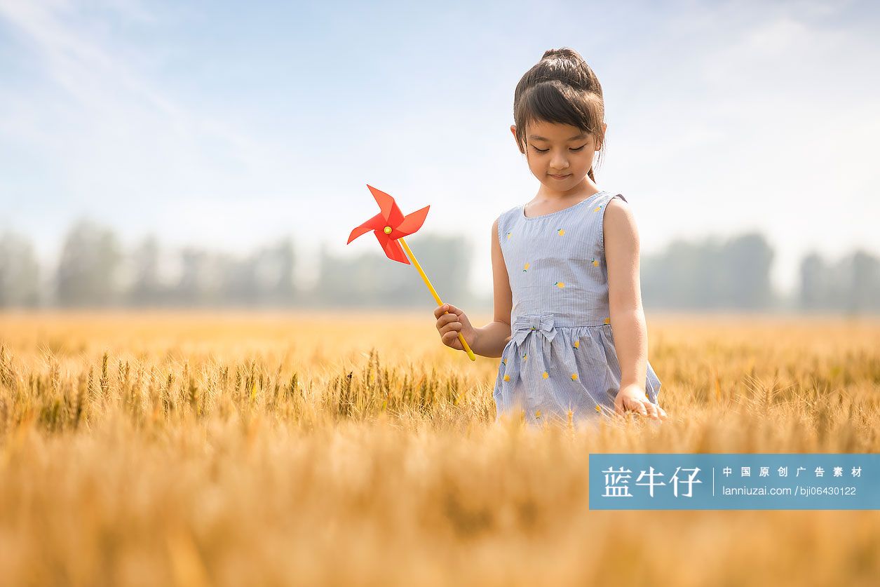 小女孩在麦田里玩风车玩具
