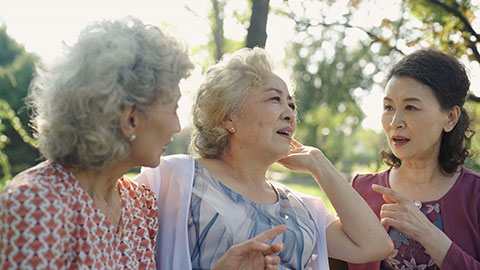 Senior Chinese friends talking in park,4K