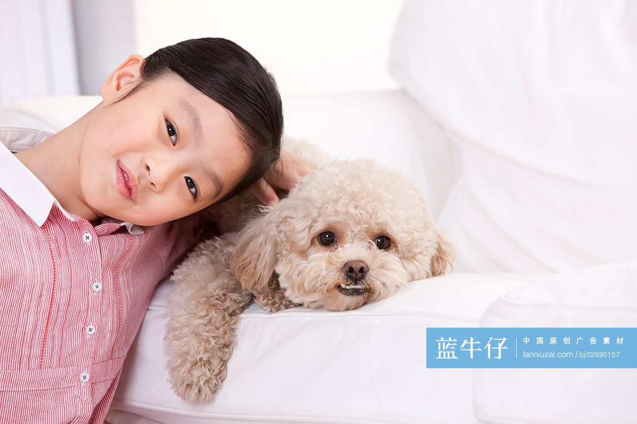 小女孩和泰迪狗一起玩耍