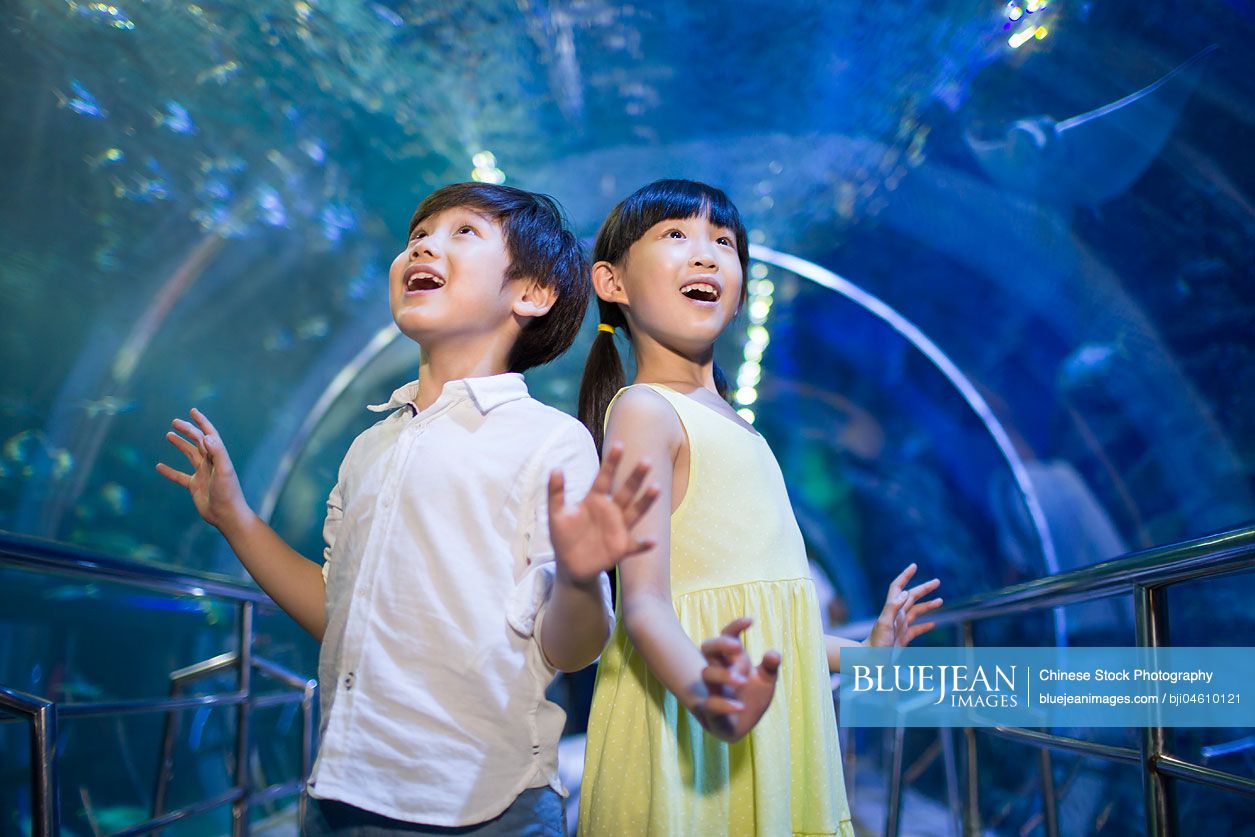Chinese children in aquarium
