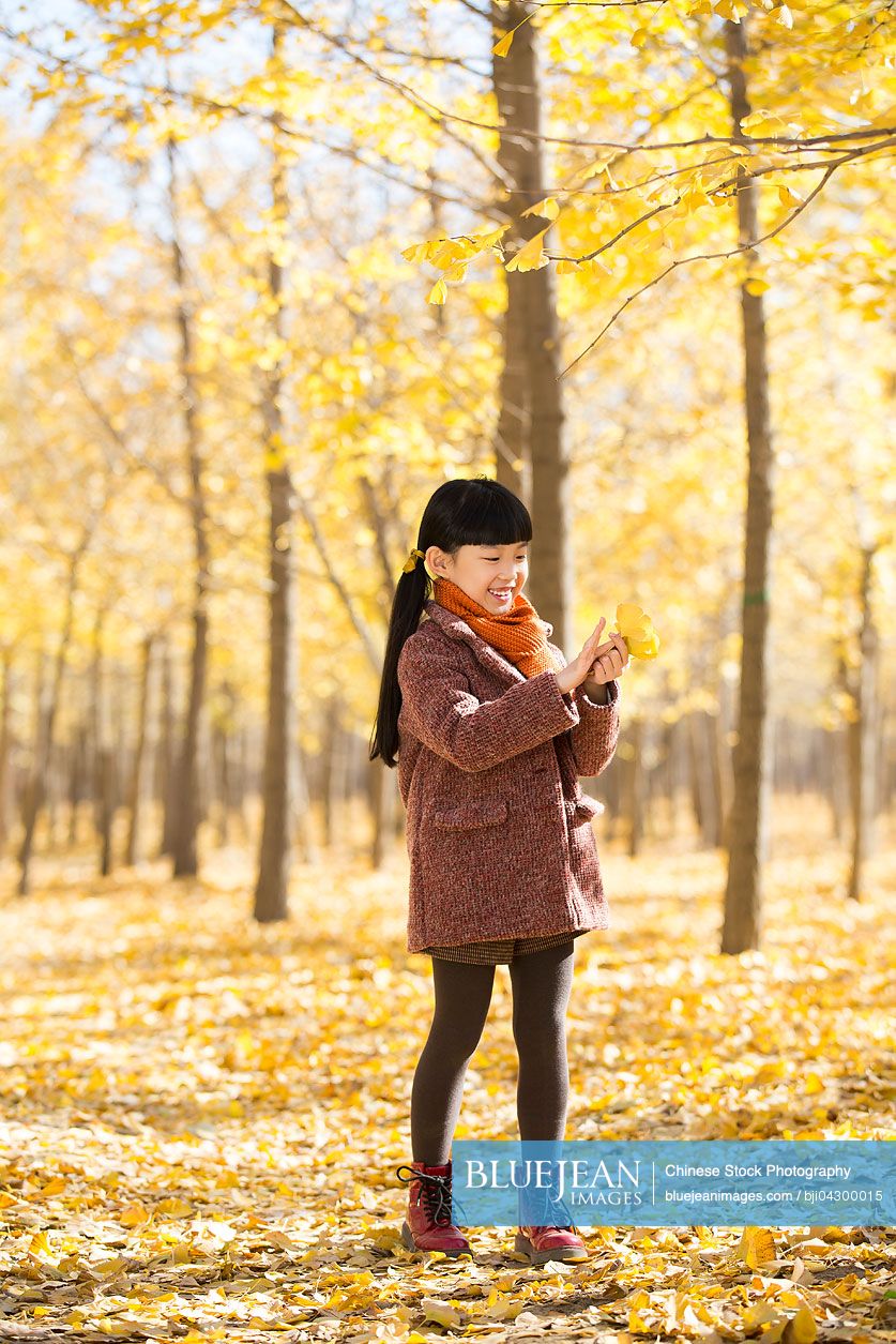 Little Chinese girl playing with autumn leaves