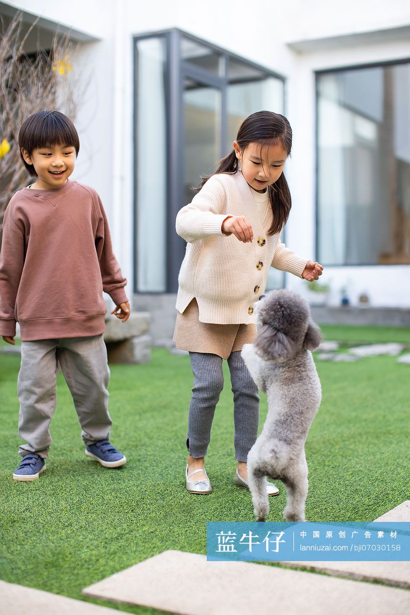 快乐的姐弟俩和宠物狗在庭院里玩耍