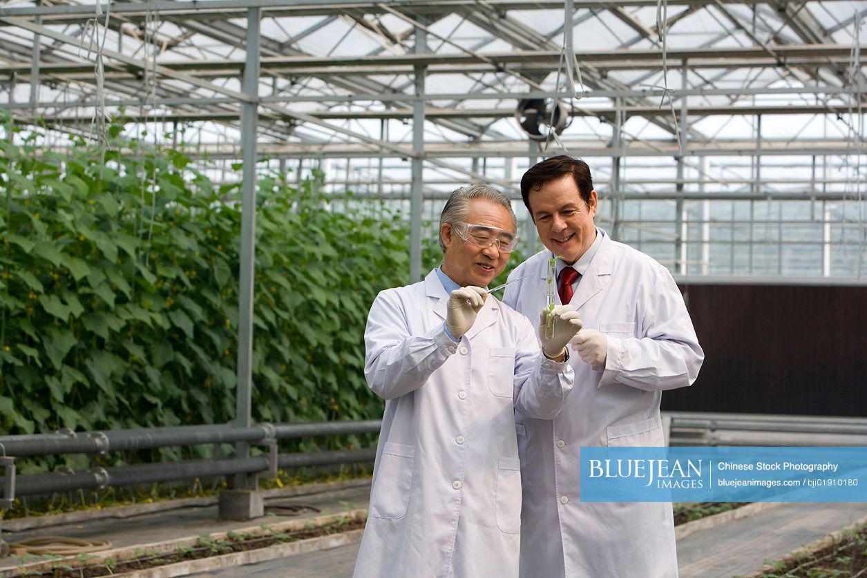 Scientists doing research in modern farm