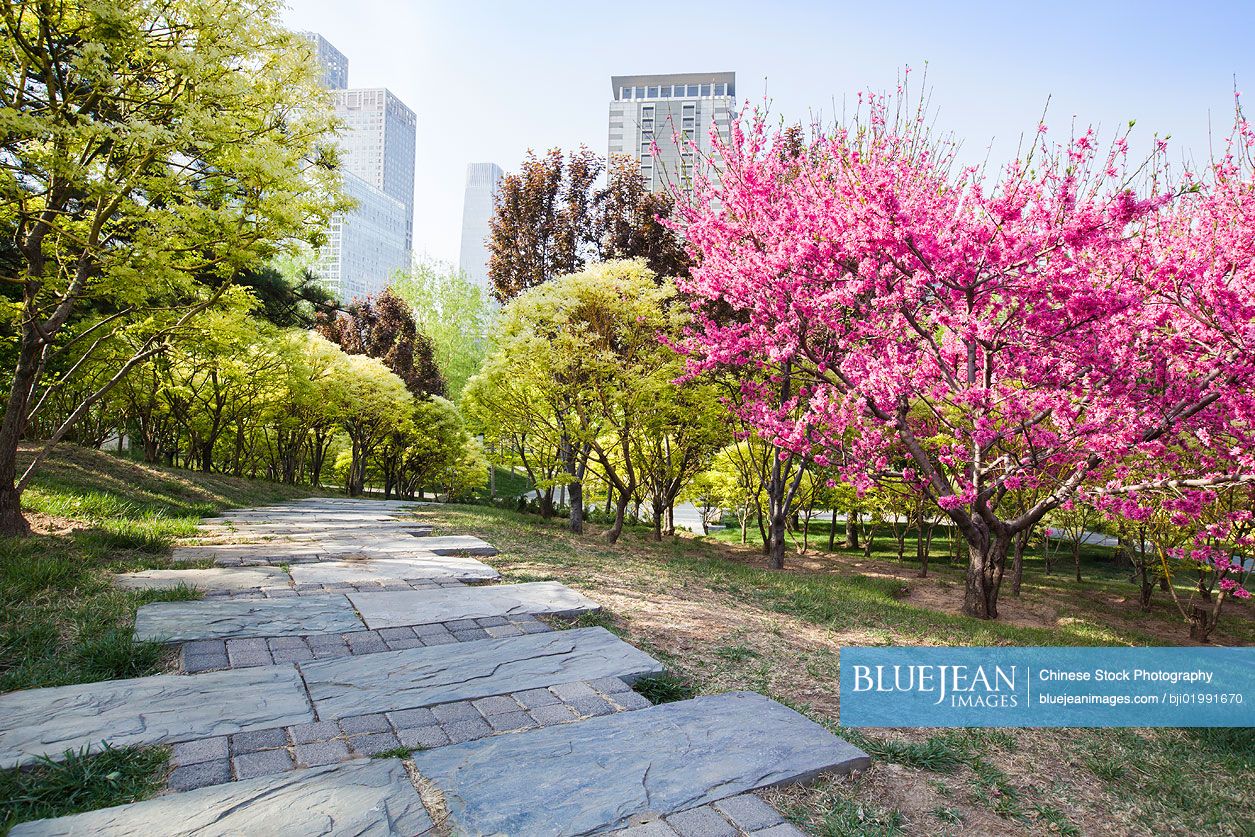 Urban park, China