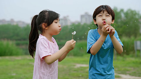 孩子们吹蒲公英