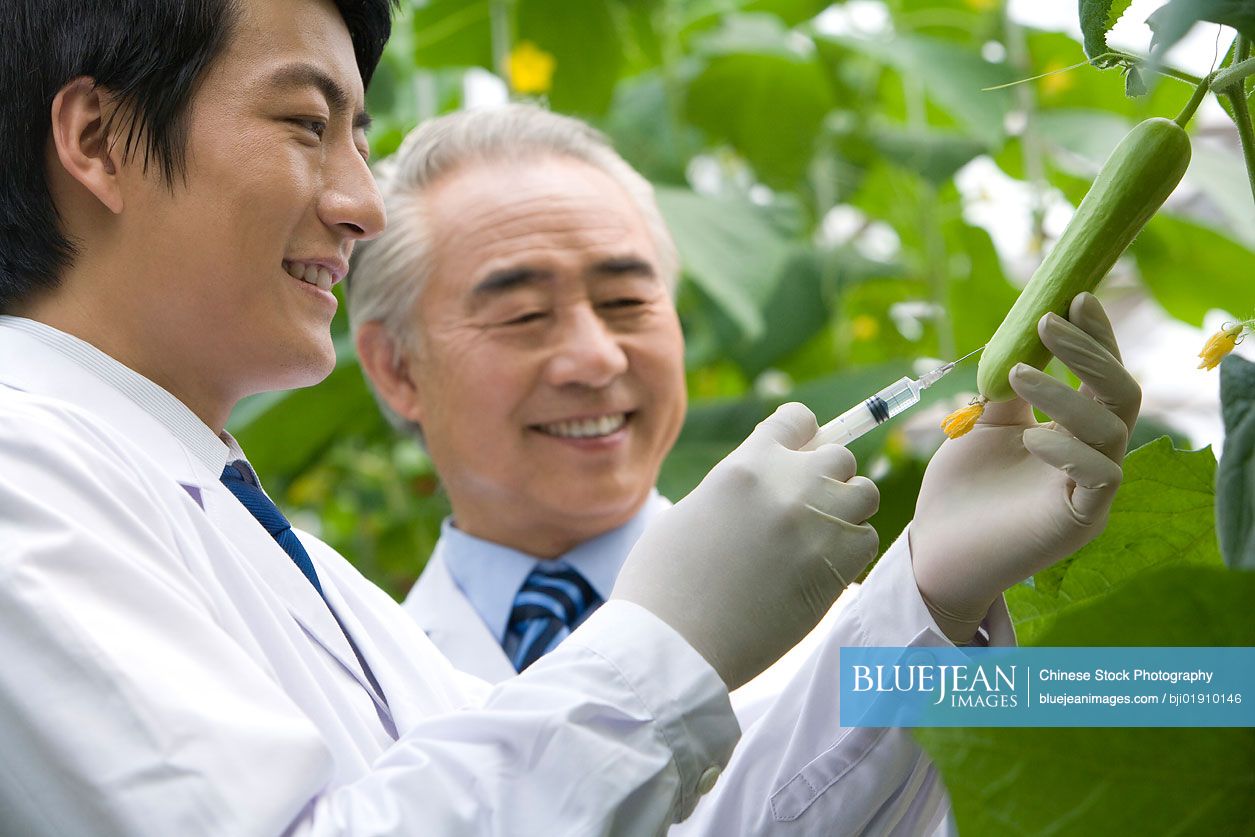 Chinese scientists doing research in modern farm