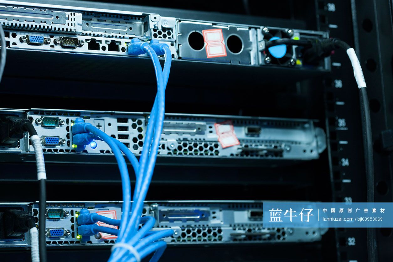 网络服务器和网线