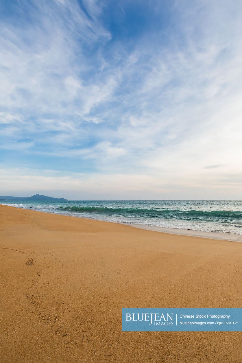 View of beach during daytime