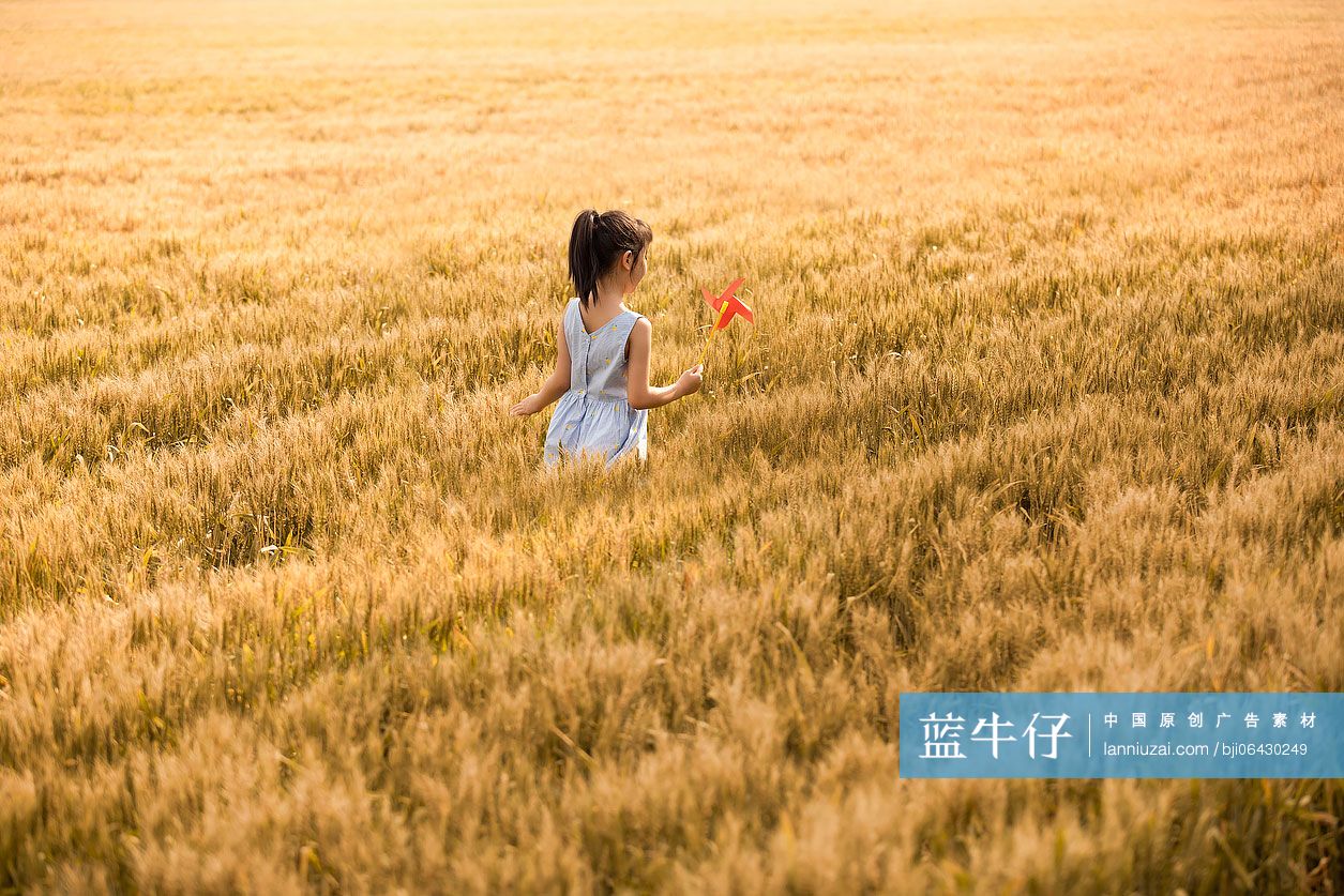 小女孩在麦田里玩风车玩具