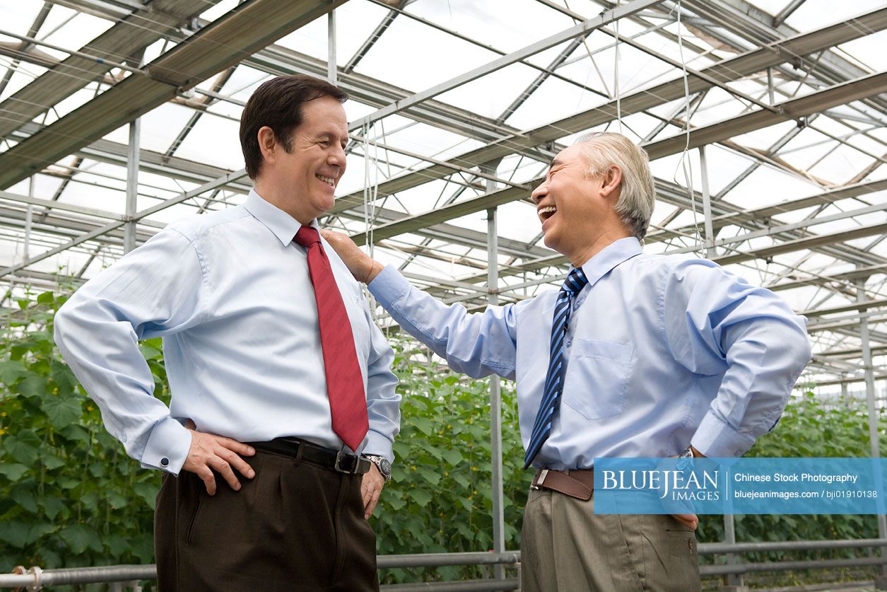 Businessmen in modern farm