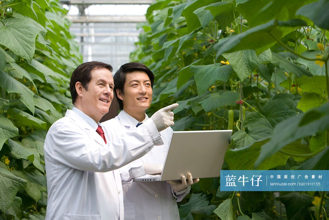 农艺师在现代农庄做科学研究