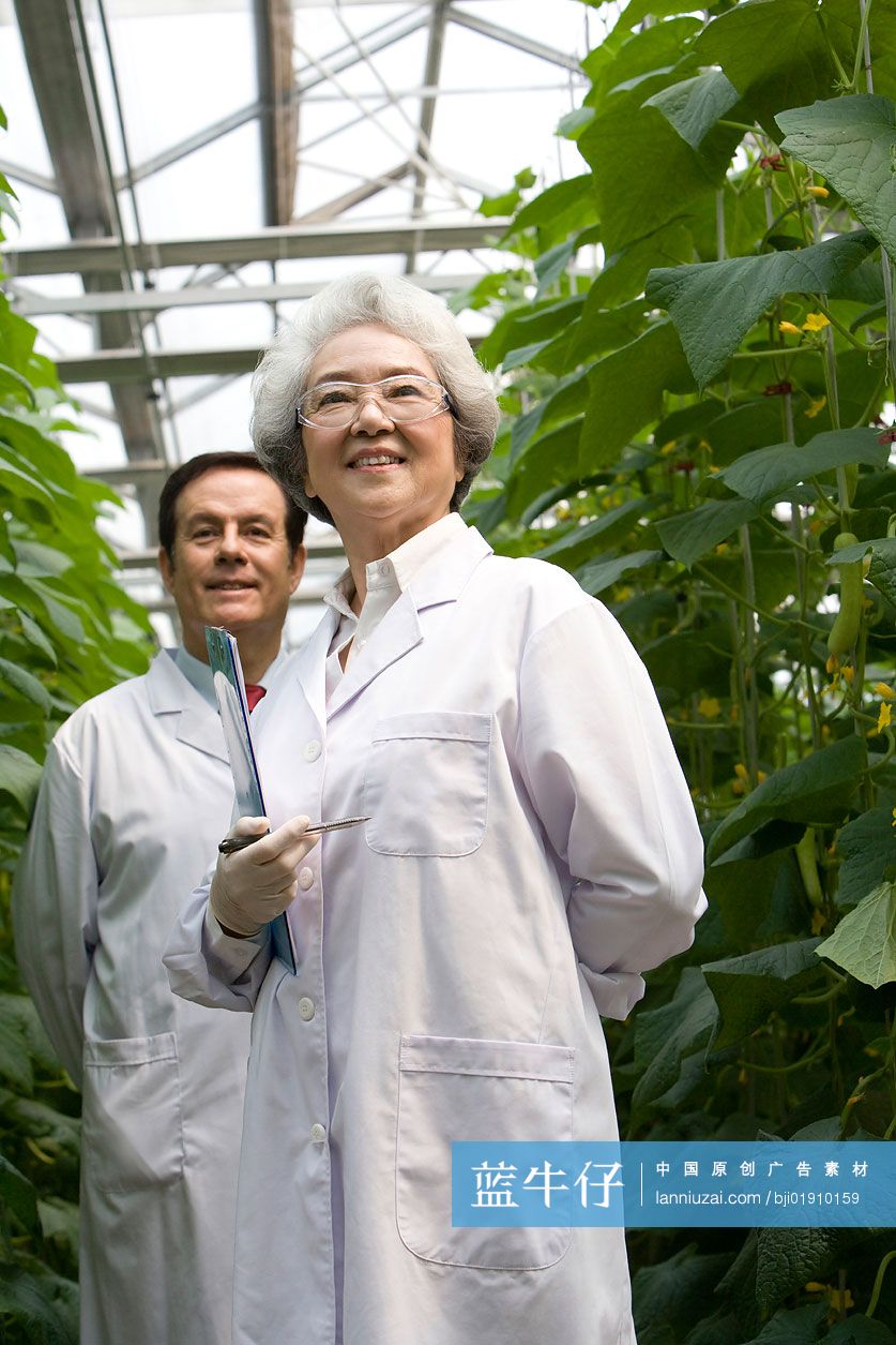 农艺师在现代农庄做科学研究