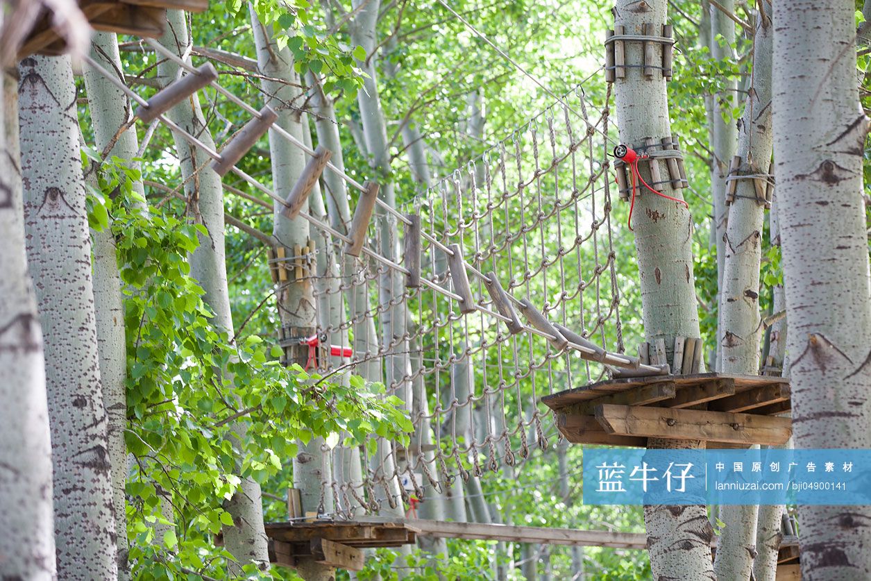 树上穿越活动