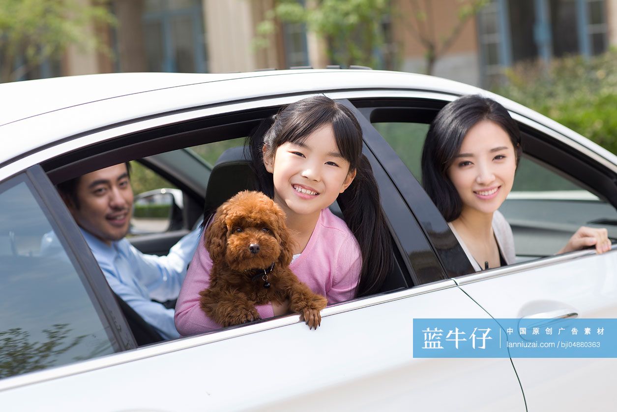 快乐的年轻家庭和宠物狗坐在汽车里