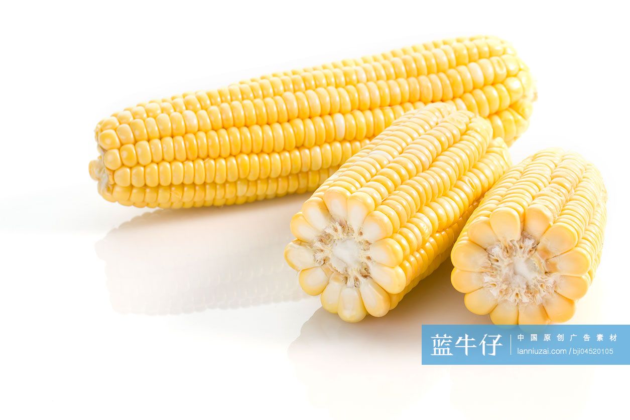 玉米
