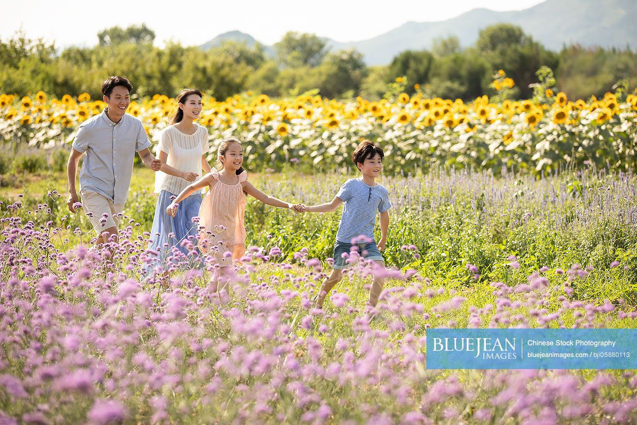 Happy young Chinese family in flower field
