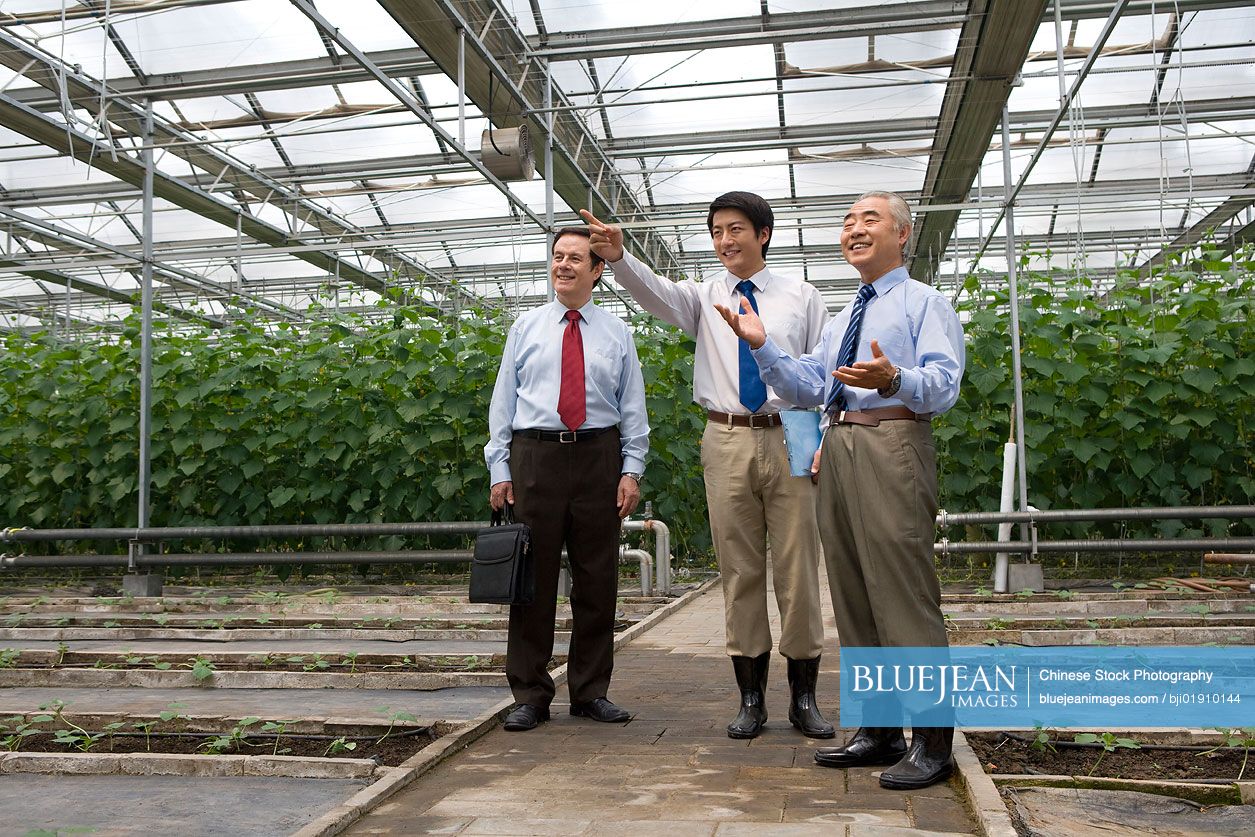 Businessmen in modern farm