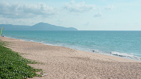 海岸沙滩