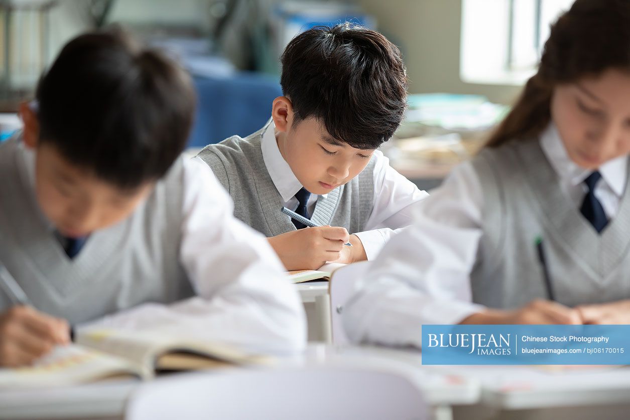 Students learning in classroom