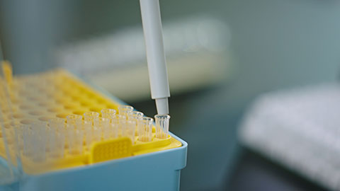 Scientist pipetting samples in laboratory,4K