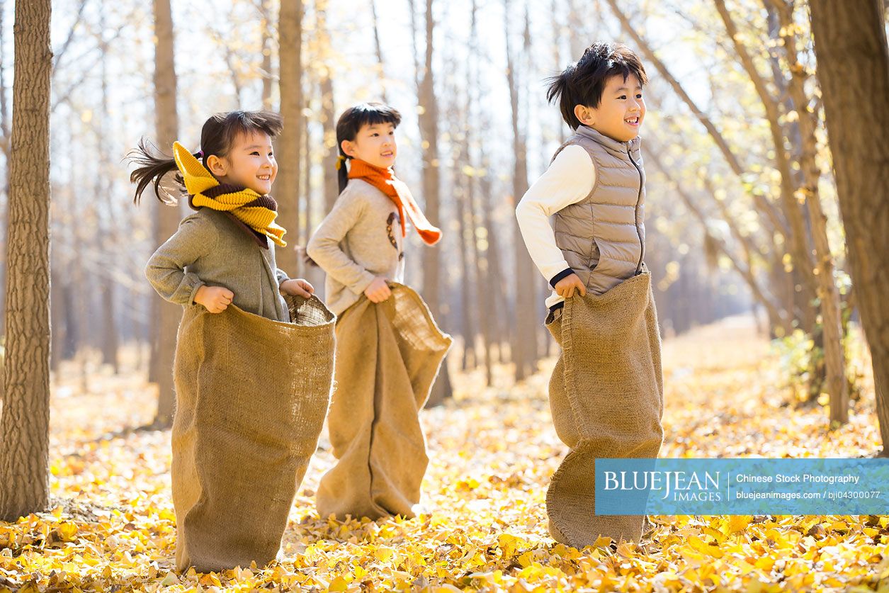 Three Chinese children having a sack race in autumn woods