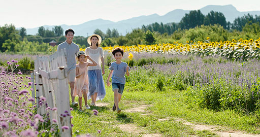 快乐的年轻家庭在花田郊游