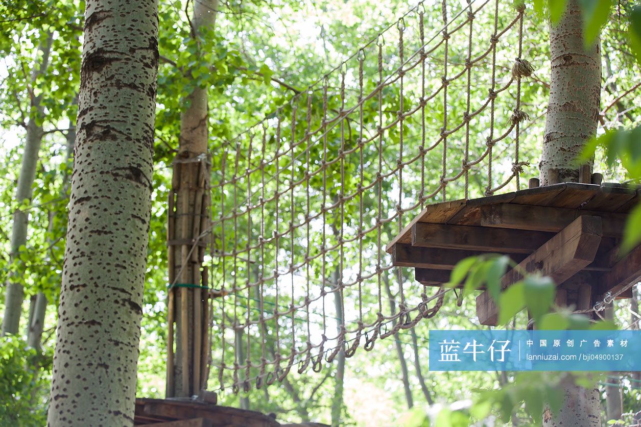 树上穿越活动