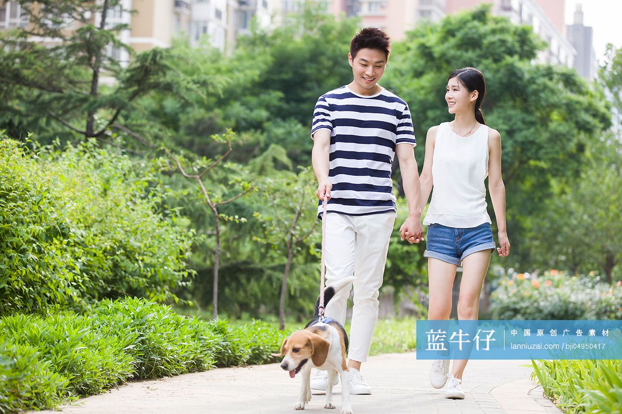 年轻情侣和宠物狗在家嬉戏-蓝牛仔影像-中国原创广告影像素材
