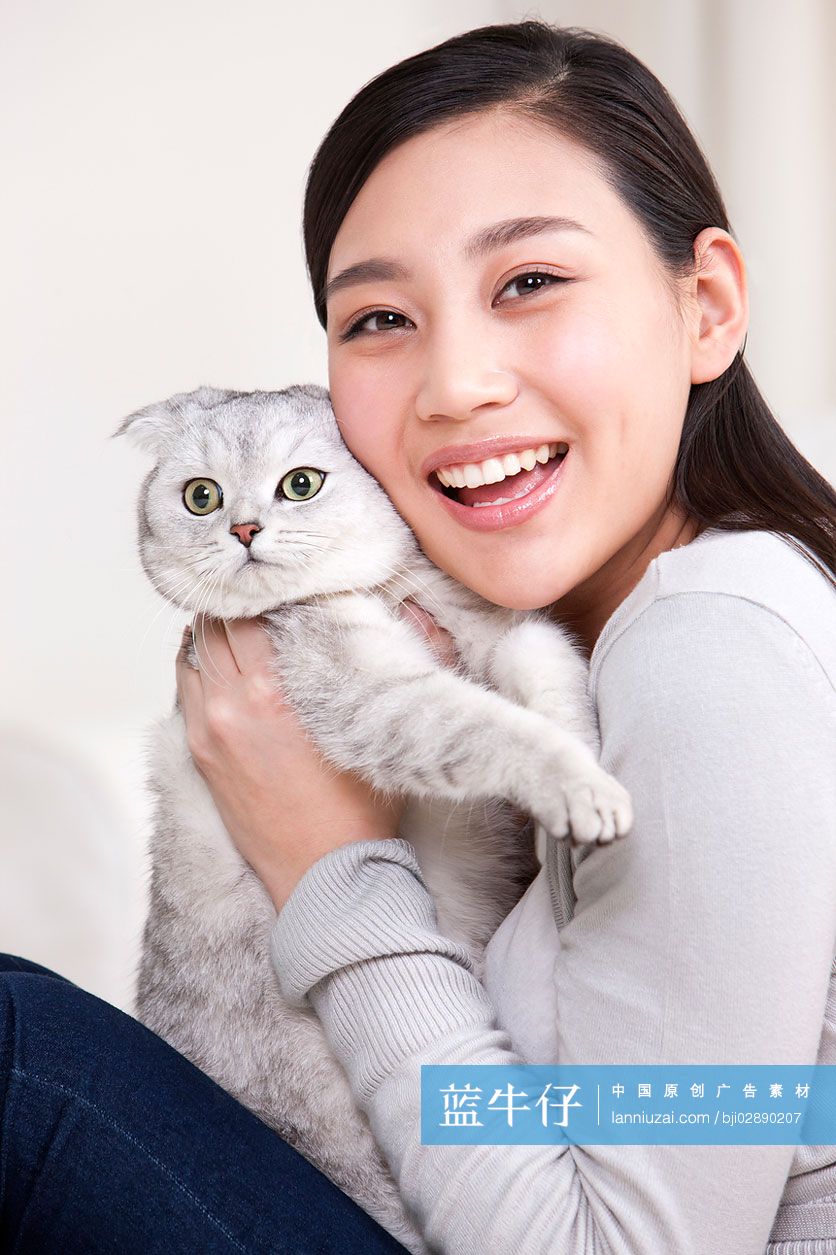 青年女子和苏格兰折耳猫