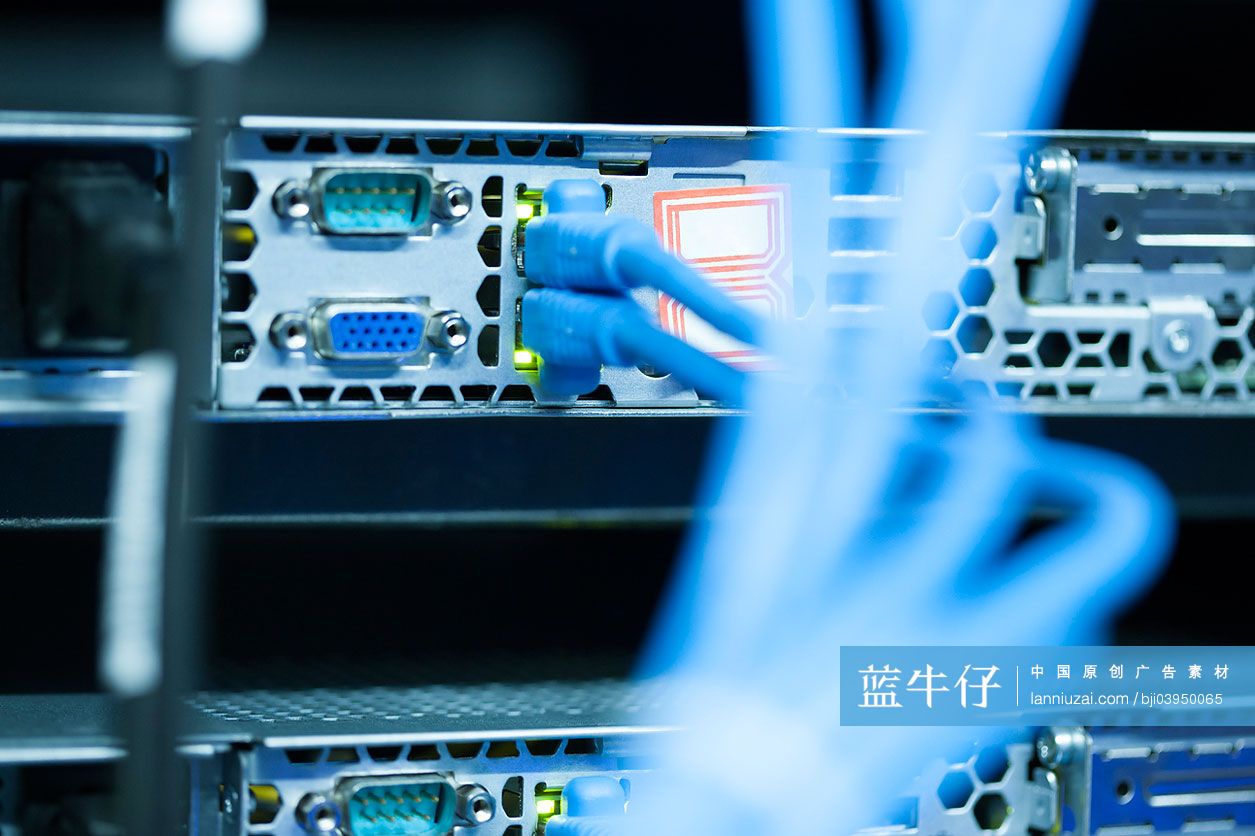 网络服务器和网线