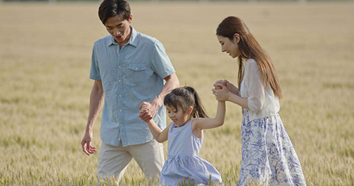 Happy young Chinese family having fun in wheat field,4K