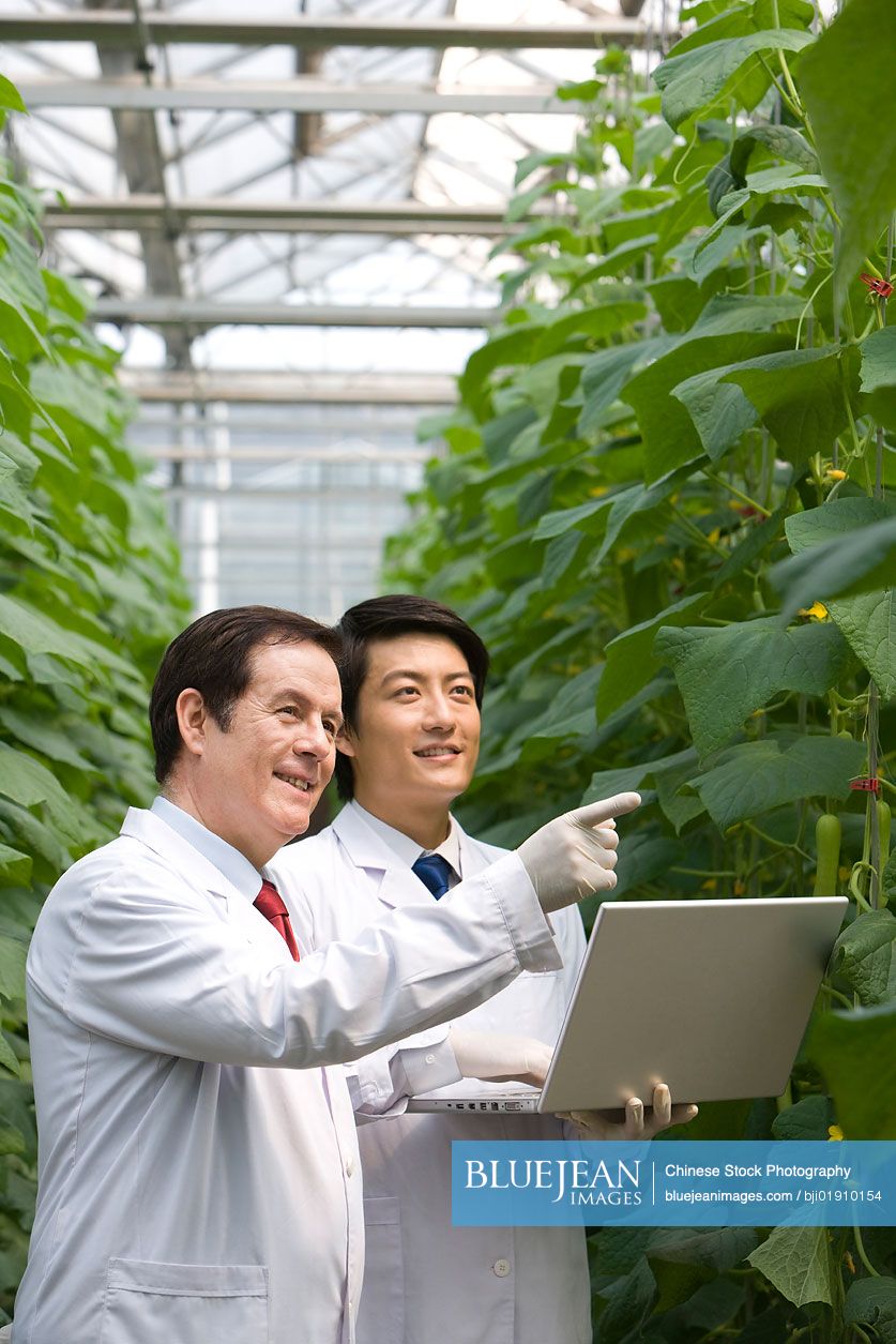 Scientists doing research in modern farm