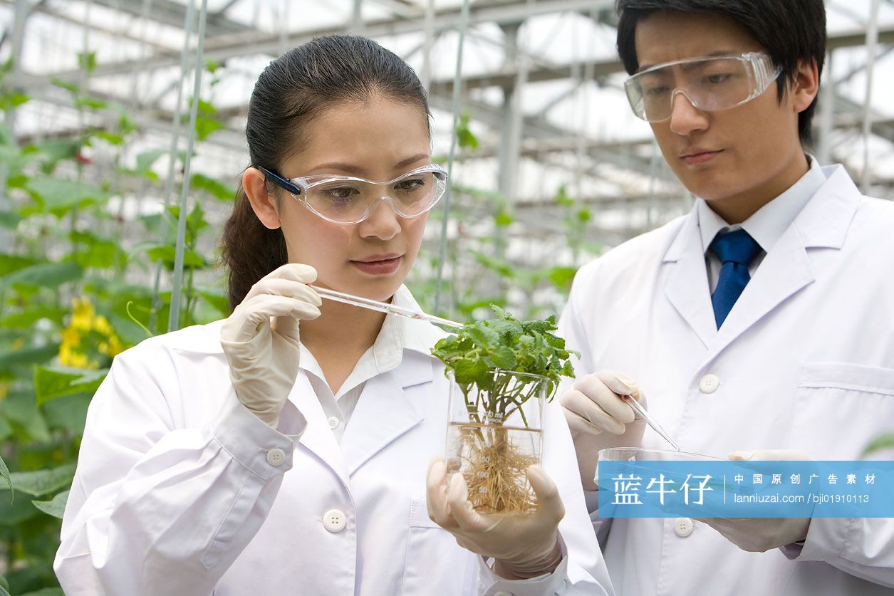 农艺师在现代农庄做科学研究