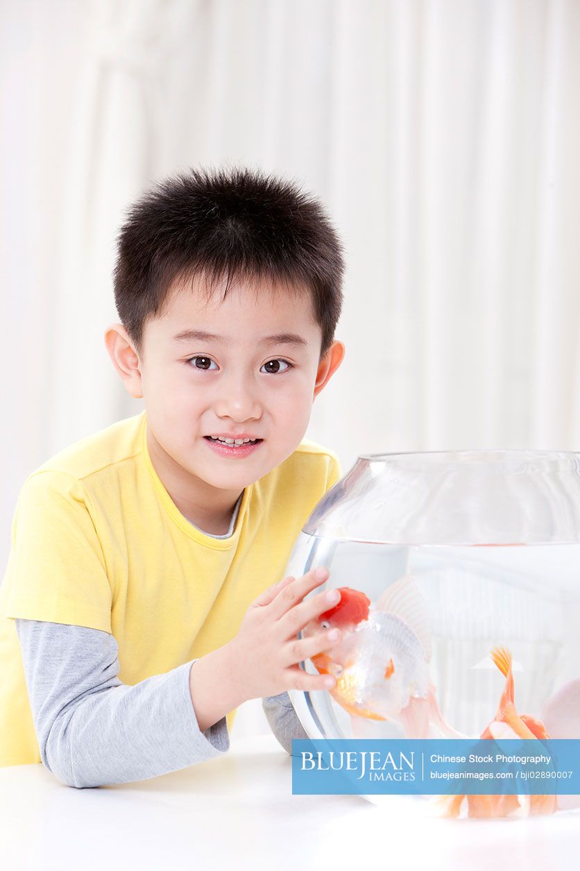 Little Chinese boy having fun with goldfishes