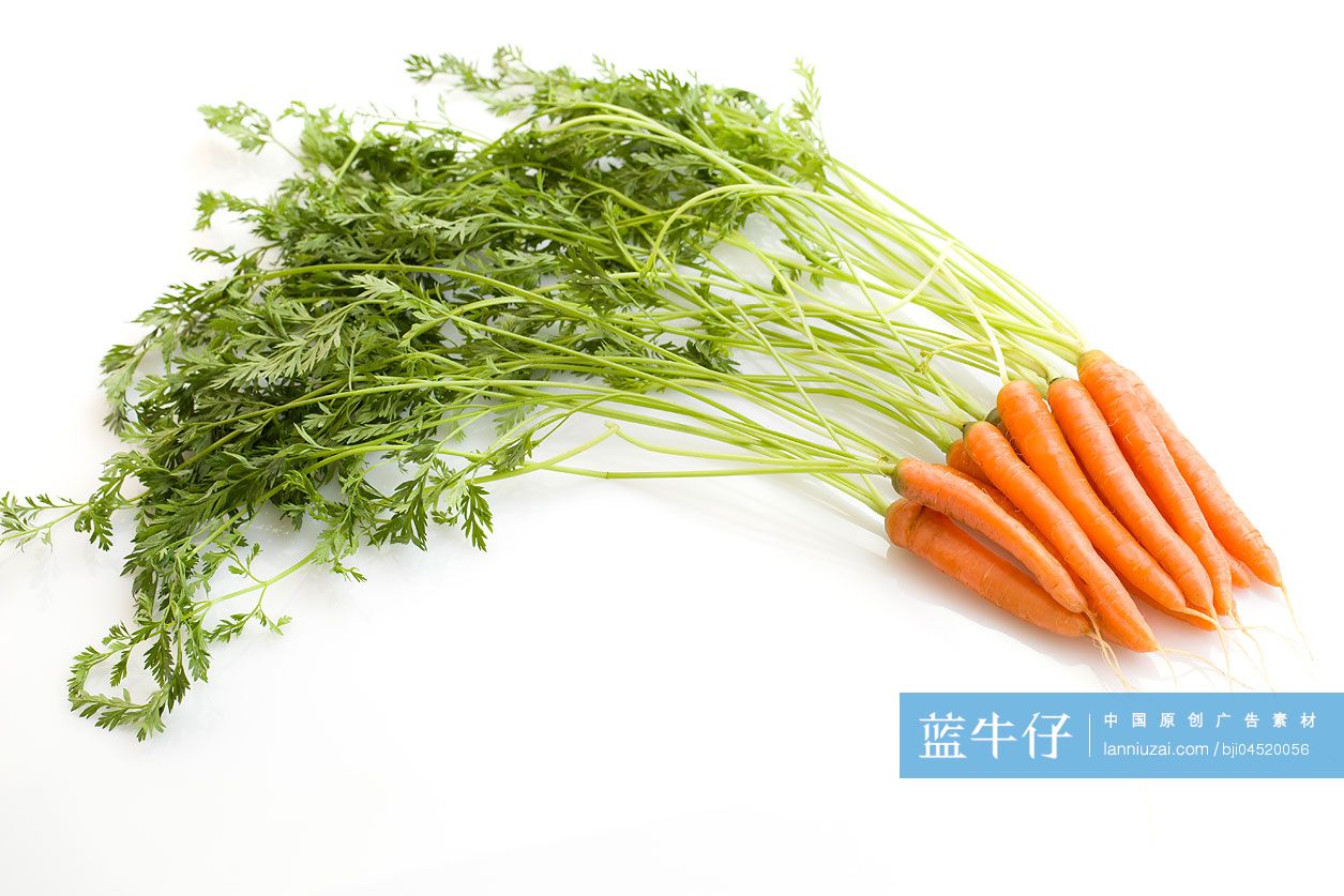 新鲜的胡萝卜