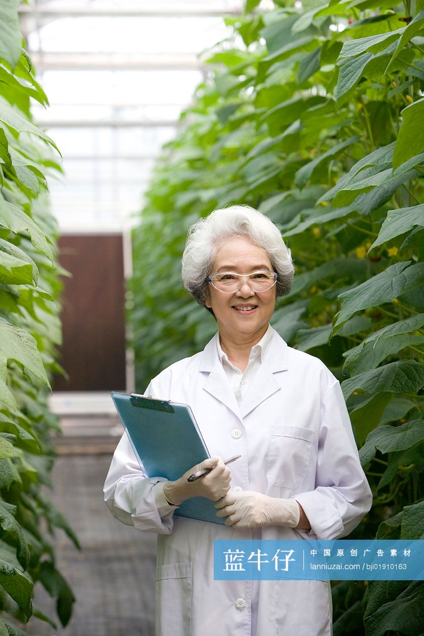 农艺师在现代农庄做科学研究