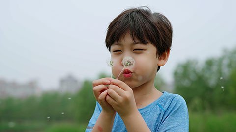 孩子们吹蒲公英