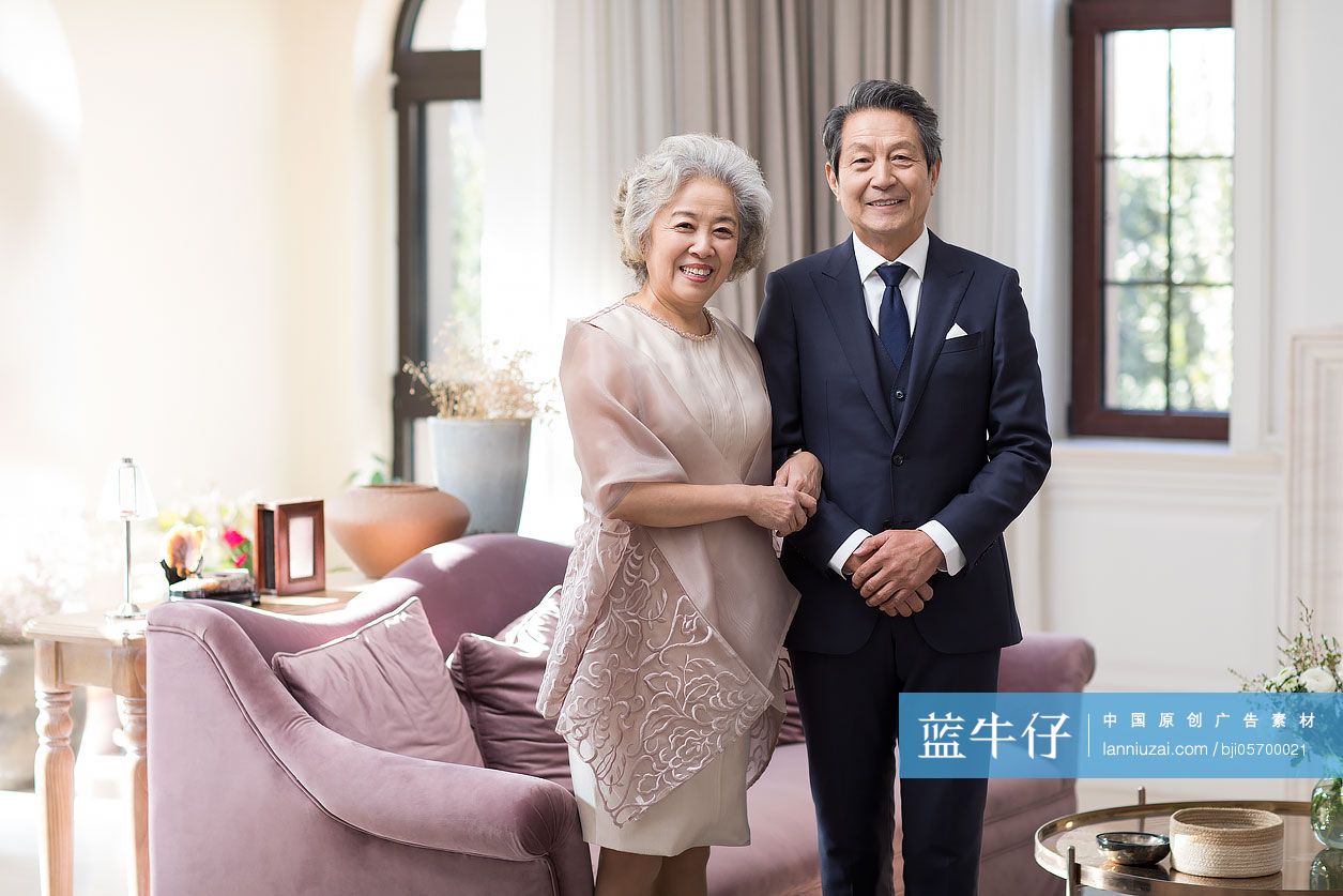 老年贵族夫妇肖像