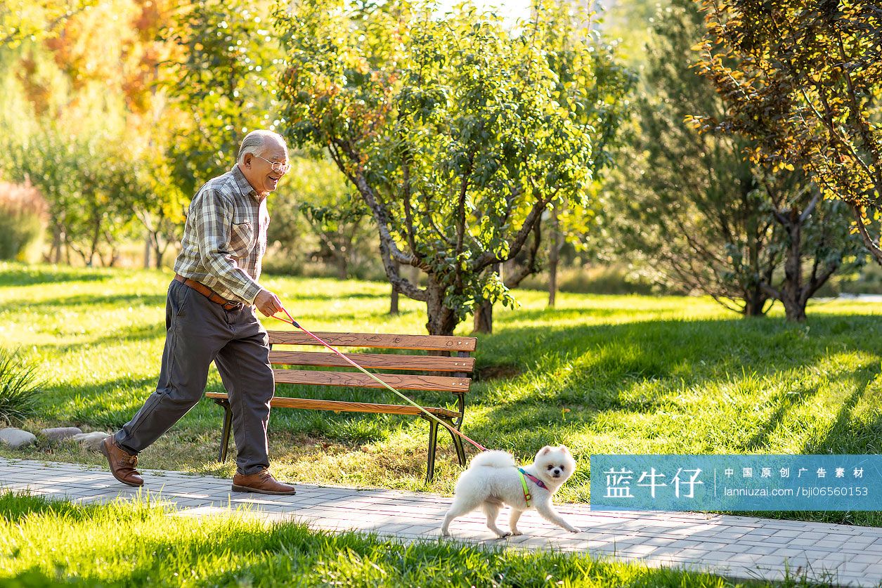 开心的老人在公园遛狗