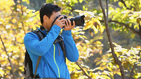 年轻男士在树林里拍照