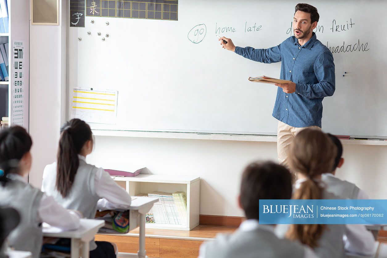 Young teacher teaching a class