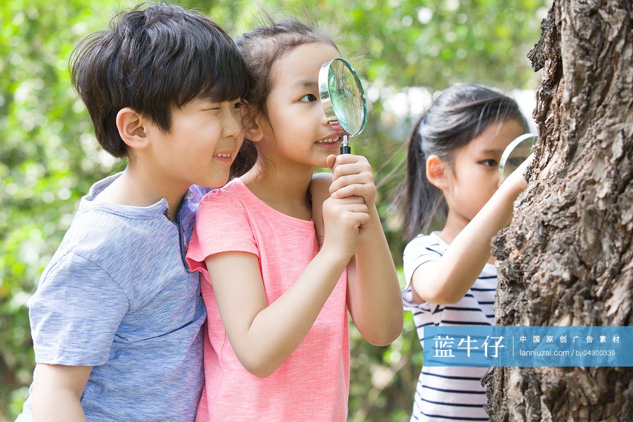 儿童在树林里嬉戏玩耍