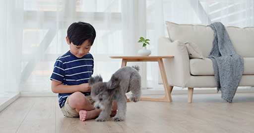 Happy little Chinese boy playing with dog in living room,4K