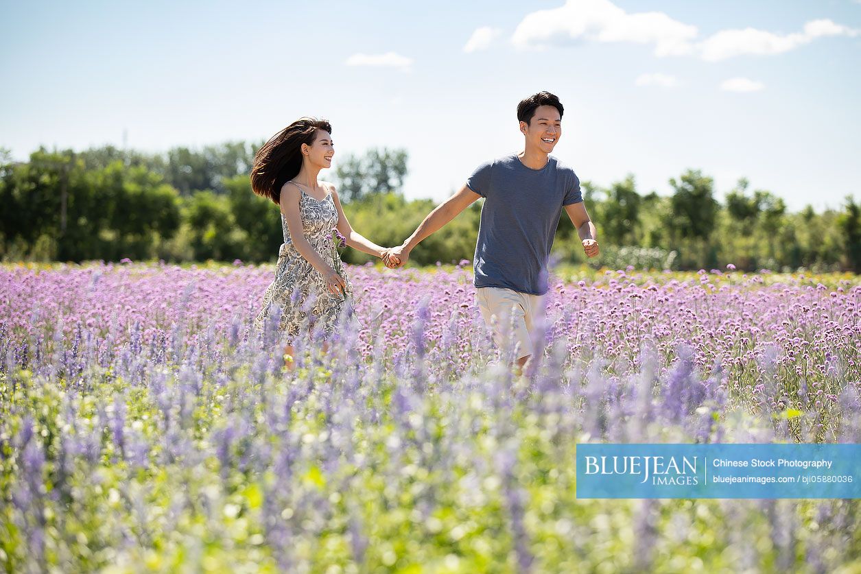 happy-young-chinese-couple-in-lavender-field-high-res-stock-photo-for