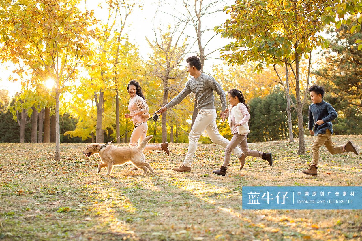 三个小孩和宠物狗在秋日树林里玩耍-蓝牛仔影像-中国原创广告影像素材