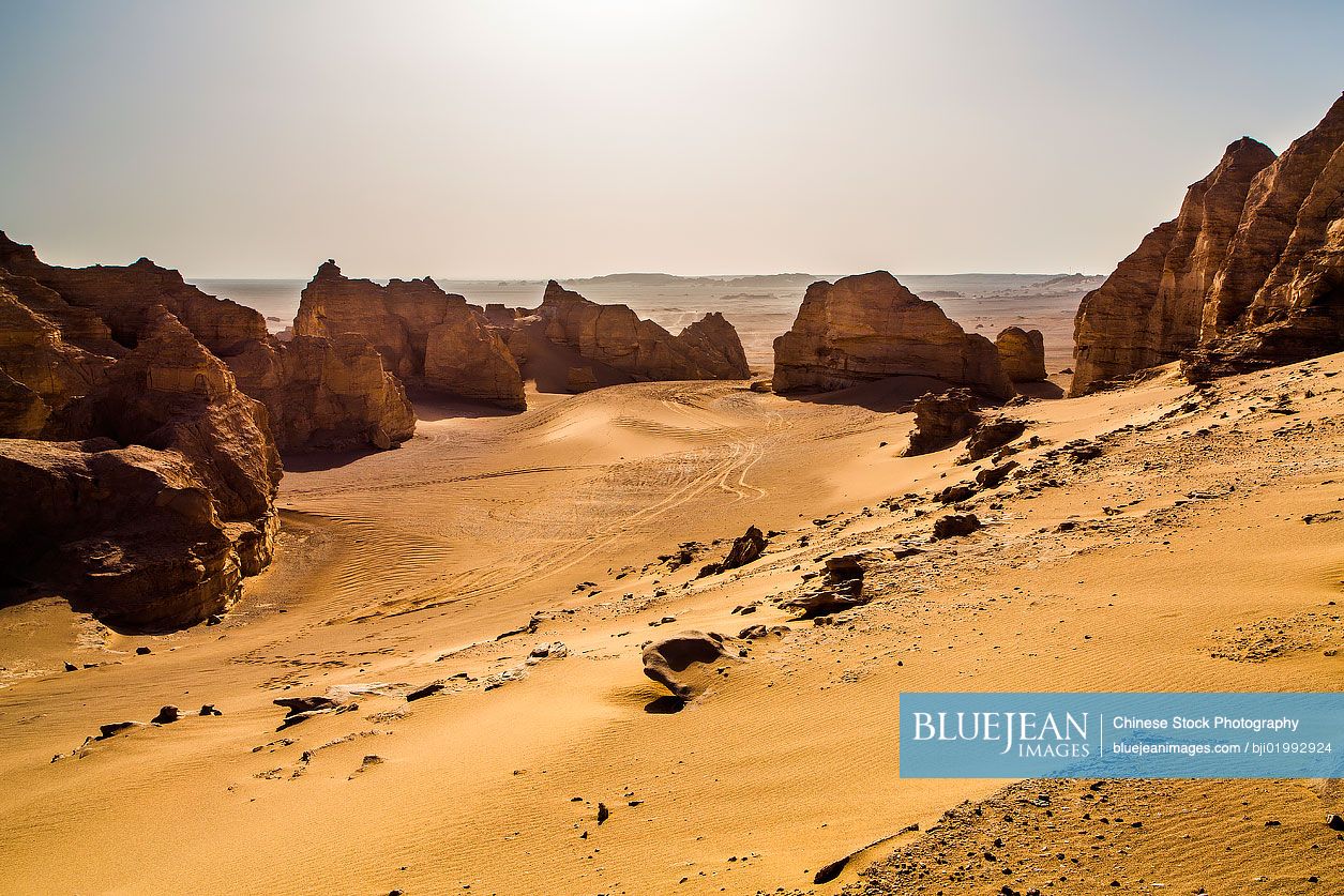 Dry desert