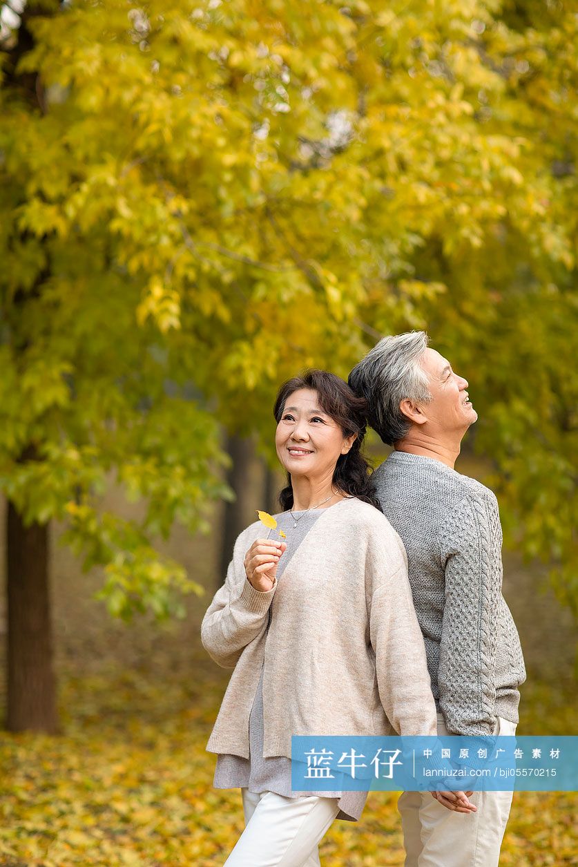 快乐的老年夫妇在树林里约会