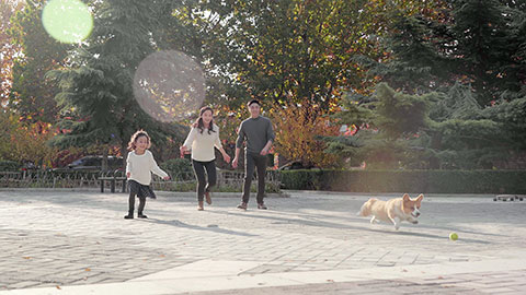 快乐的年轻家庭和宠物狗在户外玩耍