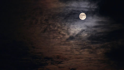 静夜满月